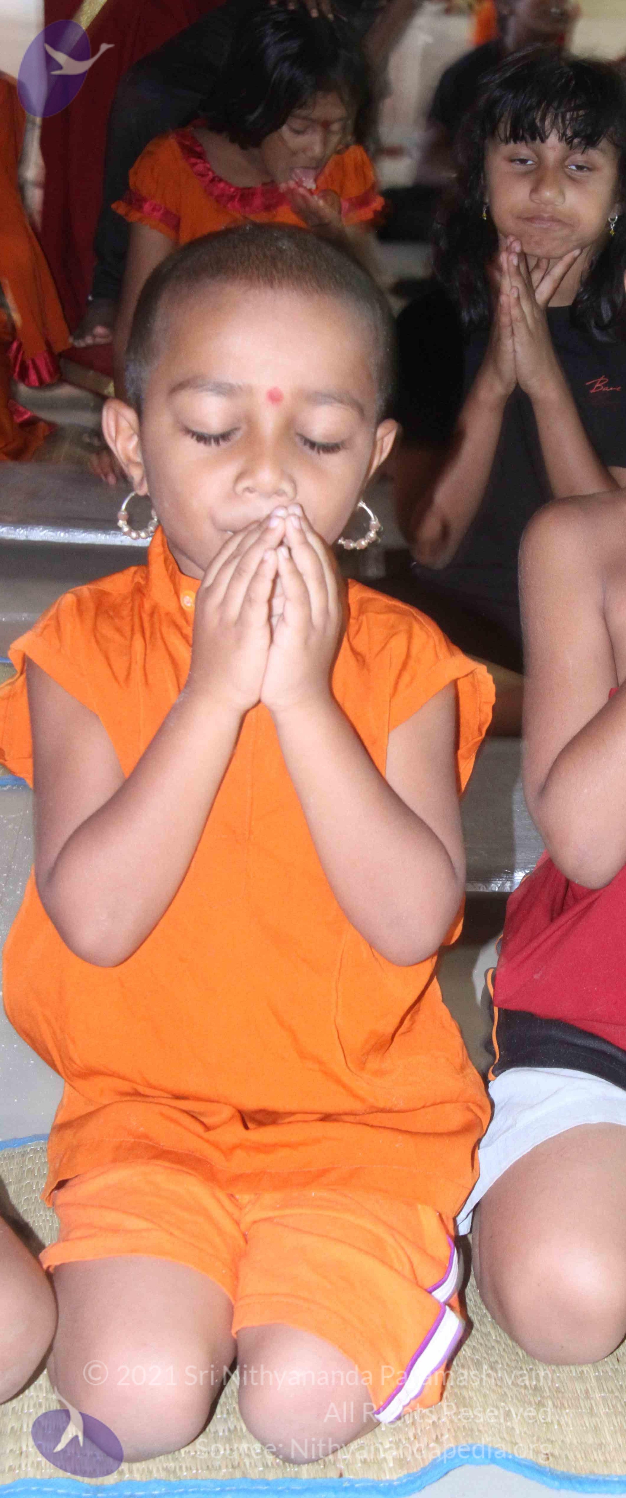 IMG_9196_CMP_WM done